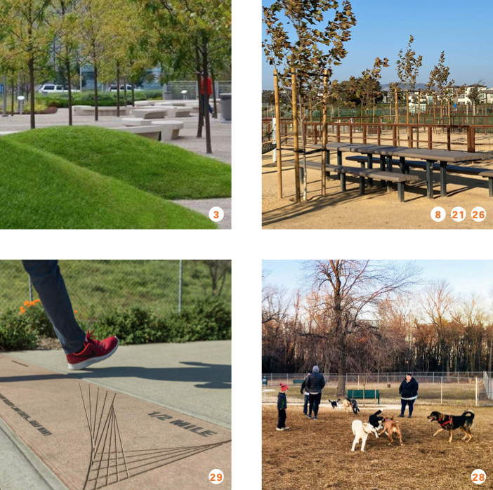 Examples of park amenities and public spaces